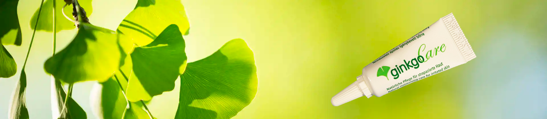 banner_Ginkgo_Care