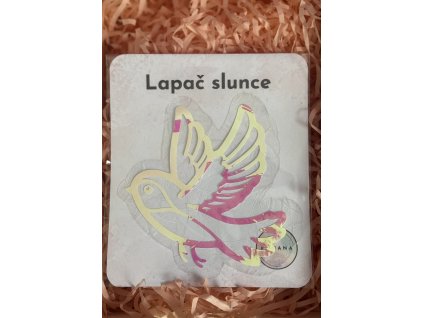 Lapač slunce - kolibřík