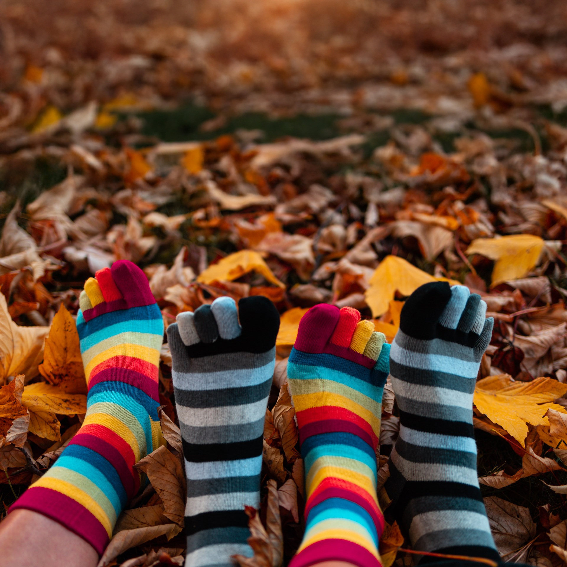 Proč u nás lidé nakupují ponožky raději než jinde? Česká kvalita, která vydrží