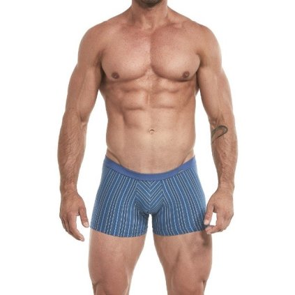 Boxerky Cornette Various  228/107 mini (Barva proužky, Velikost XXL)