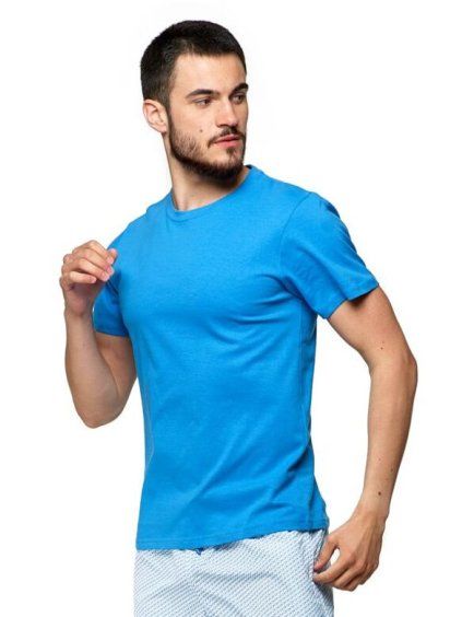 Pánské bavlněné triko Basic sytě modré (Velikost 3XL, Barva modrá)