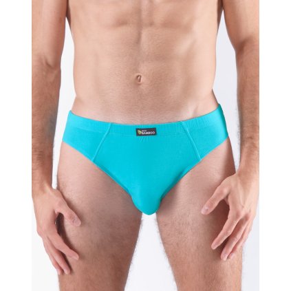 GINA pánské slipy s úzkým bokem, úzký bok, šité, jednobarevné Eco Bamboo 70058P - dunaj 50/52 (Velikost 50/52, Barva dunaj)