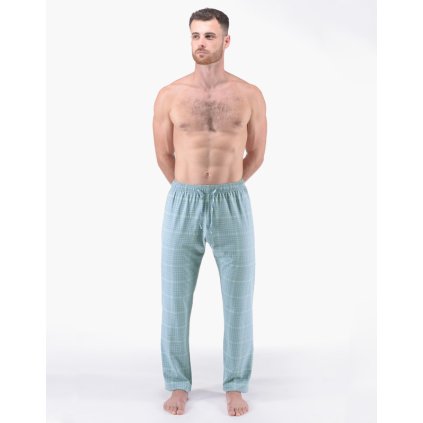 GINA pánské kalhoty dlouhé pyžamové pánské, šité, klasické, s potiskem Pyžama 2024 79183P - měsíc sv. šedá L (Velikost L, Barva měsíc sv. šedá)