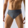 GINA pánské slipy se širším bokem, širší bok, bezešvé, jednobarevné Bamboo PureLine 51003P - lékořice M/L (Velikost M/L, Barva lékořice)