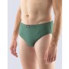 GINA pánské slipy se širším bokem, širší bok, šité, s potiskem 71110P - lahvová vltavín 50/52 (Velikost 50/52, Barva lahvová vltavín)