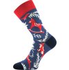 Ponožky Damerryk (Barva domečky, Velikost 20-24 (14-16))