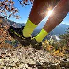 Alska Light Fluo