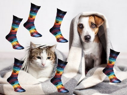 shutterstock 726710023 555x416