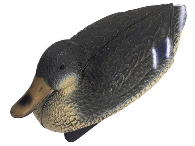 Pontec Divoká kachna