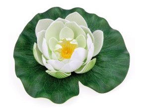 Pontec Leknín plovoucí