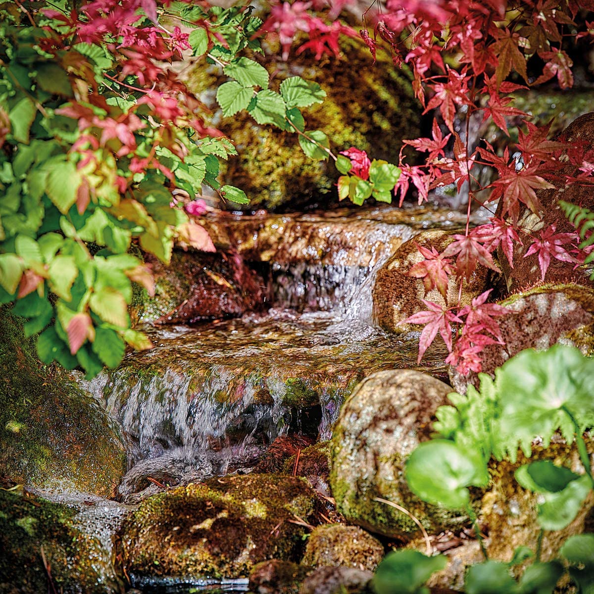 Pontec PondoMax Eco 17500C NEW