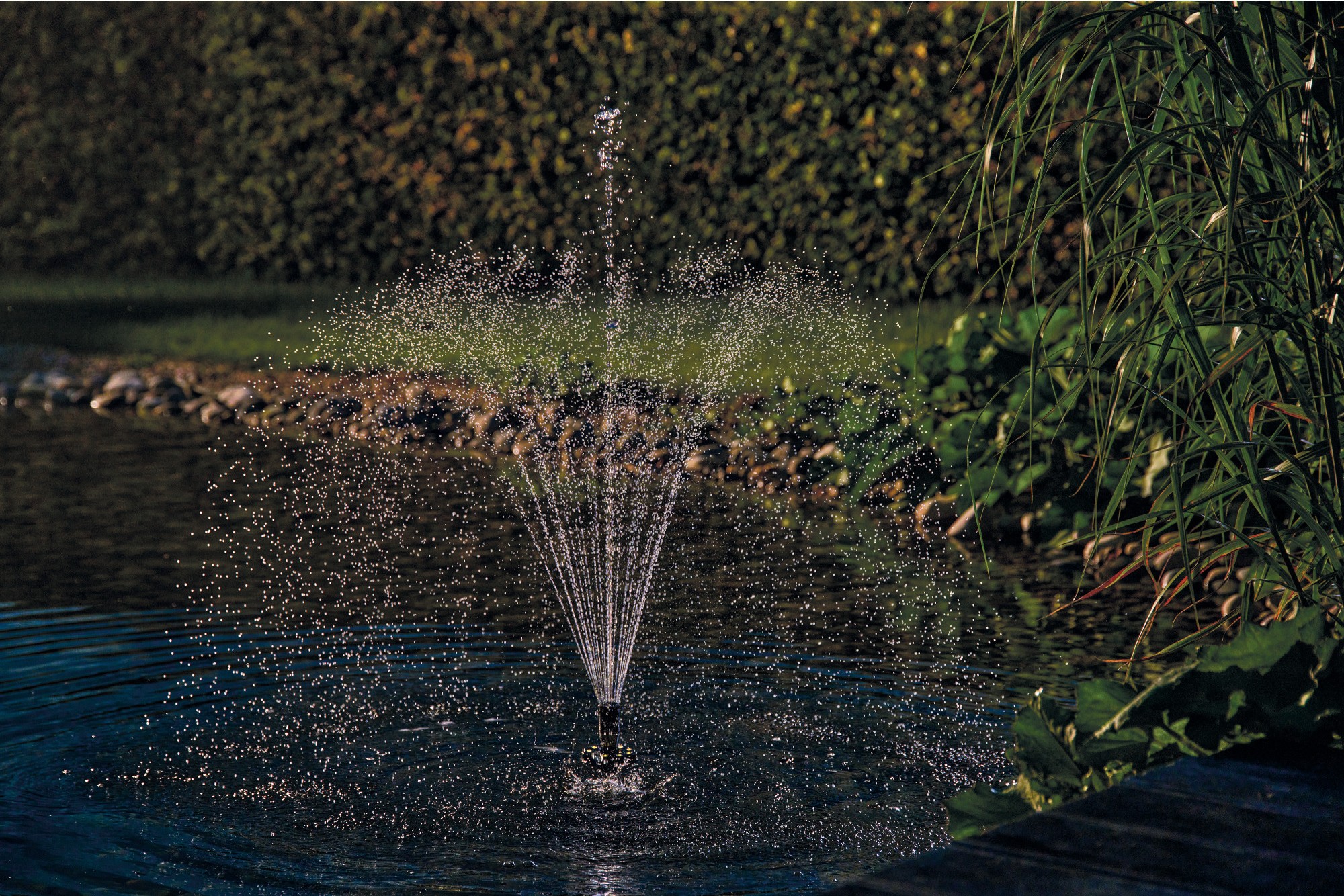 Pontec PondoStar LED Ring Compact