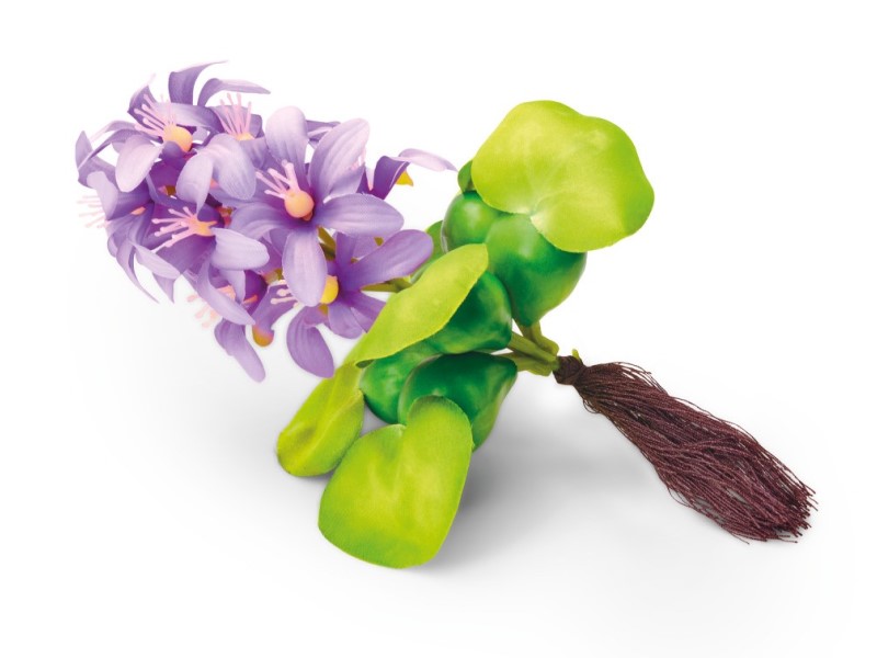 Pontec Rostlina do jezírka - hyacint