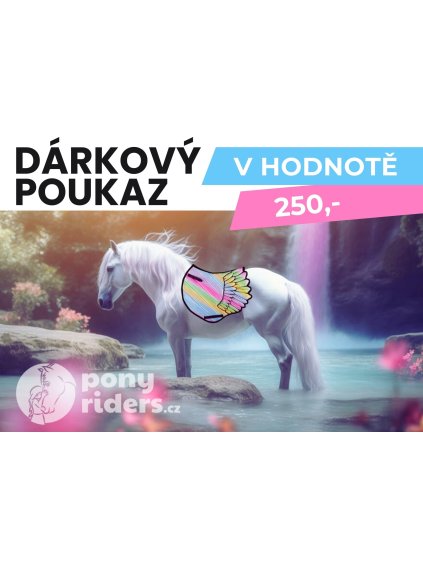 Dárkový poukaz 250 Kč