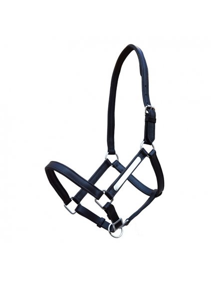 lederhalfter everyday charm