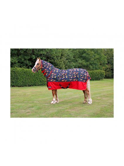 PR 29788 StormX Original 200 Combi Turnout Rug 01