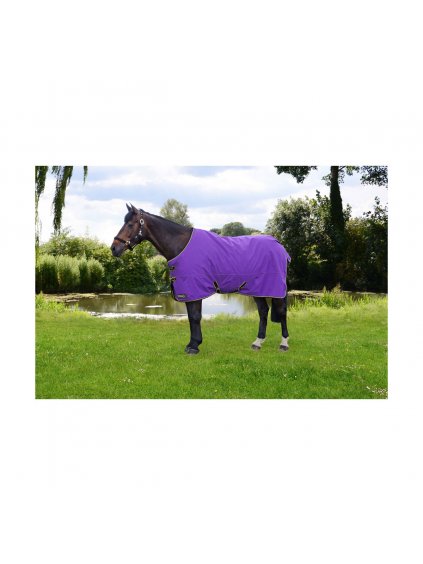 PR 34765 StormX Original 50g Turnout Rug 01