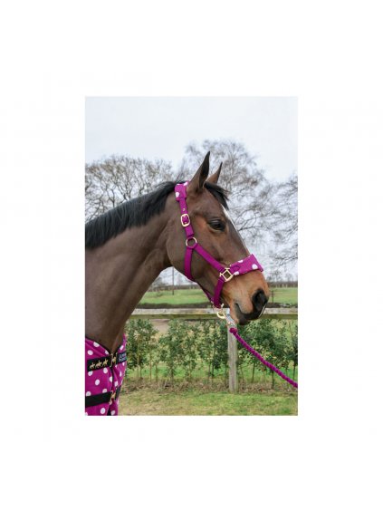 PR 33522 Supreme Products Dotty Fleece Head Collar & Lead Rope 05