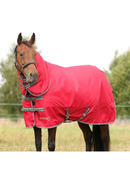 Snímek obrazovky 2025 01 05 134426