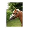 PR 33516 Supreme Products Royal Occasion Head Collar 03
