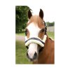 PR 33516 Supreme Products Royal Occasion Head Collar 04