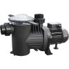 Medence szivattyú Saci WINNER 100T 18m3/h H=10m 1.0LE 400V
