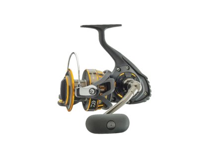 daiwa bg 1000x700 1