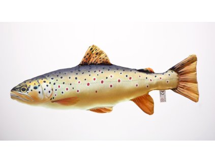 pstruh potocni obecny 60 cm