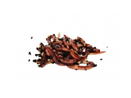 Snímek obrazovky 2025 08 01 101038