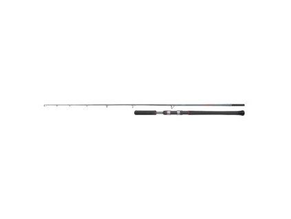 Shimano Prut Beastmaster AX Catfish Casting Vertical 1,85m 200g