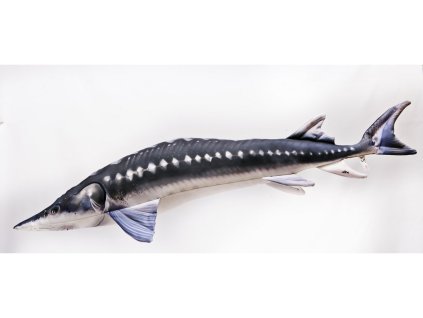 vyr 1586 Jeseter Giant 125cm