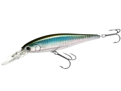 Snímek obrazovky 2026 01 22 113951