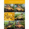 tb baits obalovaci pasta corn 200 ml (2)