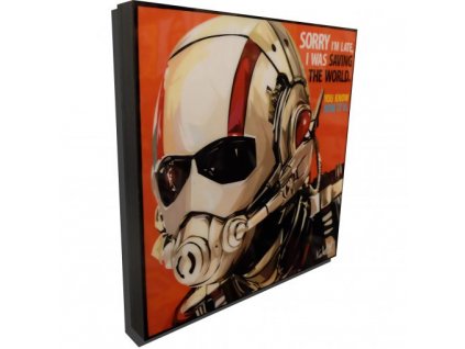 Pop Art Obrazy ANTMAN - popartobrazy.cz