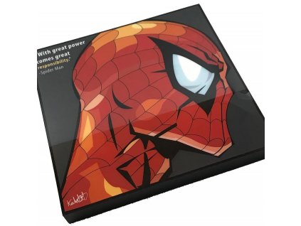 Pop Art Obrazy SPIDERMAN - popartobrazy.cz