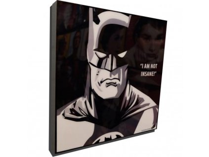 Pop Art Obrazy BATMAN Insane - popartobrazy.cz