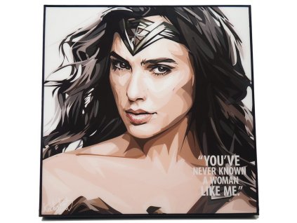 Pop Art Obrazy WONDER WOMAN - popartobrazy.cz