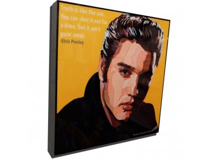 Pop Art Obrazy ELVIS PRESLEY - popartobrazy.cz