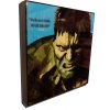 Pop Art Obrazy HULK ver.1 - popartobrazy.cz