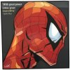 Pop Art Obrazy SPIDERMAN - popartobrazy.cz