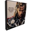 Pop Art Obrazy THOR - popartobrazy.cz