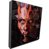 Pop Art Obrazy DARTH MAUL - popartobrazy.cz