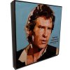 Pop Art Obrazy HAN SOLO - popartobrazy.cz