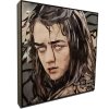 Pop Art Obrazy ARYA STARK - popartobrazy.cz