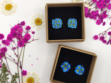 Pomněnky mnohokvěté