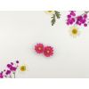 Gerbera