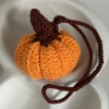 Autumn pumpkin