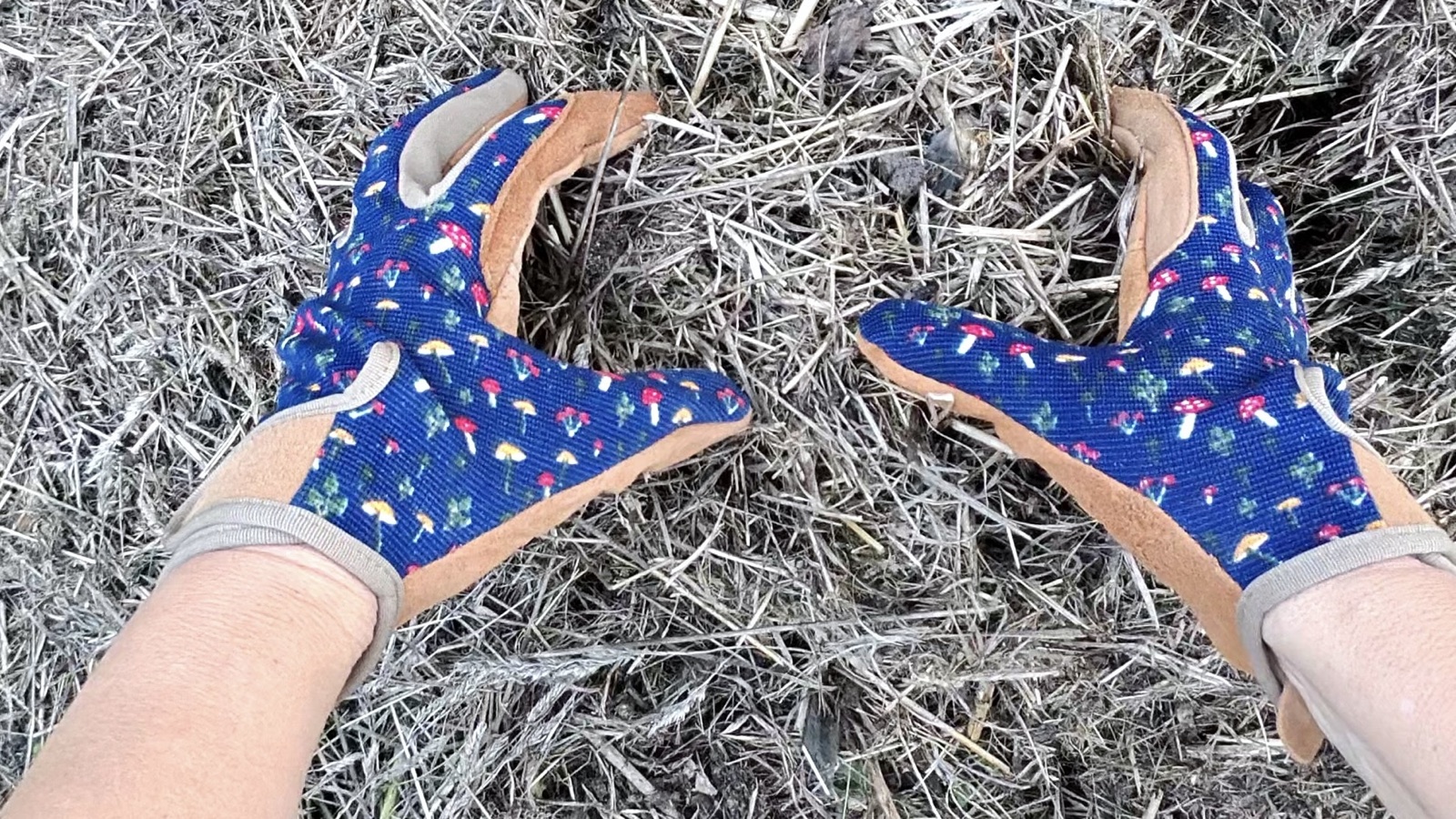 Zahradní rukavice: jak vybrat ty pravé na každou práci