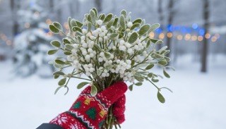 Jmelí je tradiční symbol Vánoc. Vyberte to správné a hlavně ho nejezte