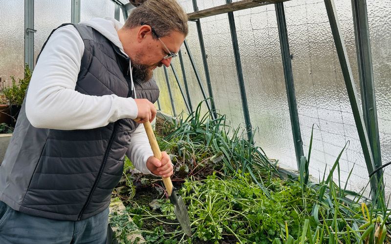 Jak na skleník a vyvýšené záhony: Praktické tipy a nejlepší nářadí pro snadné zahradničení
